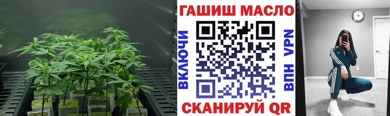 Купить закладки  Кропоткин  Дистиллят ТГК вейп 