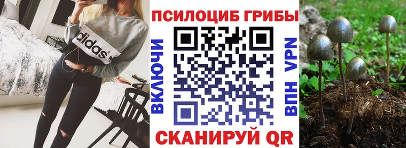 Псилоцибиновые грибы Magic Shrooms  Купить закладки  Кропоткин 
